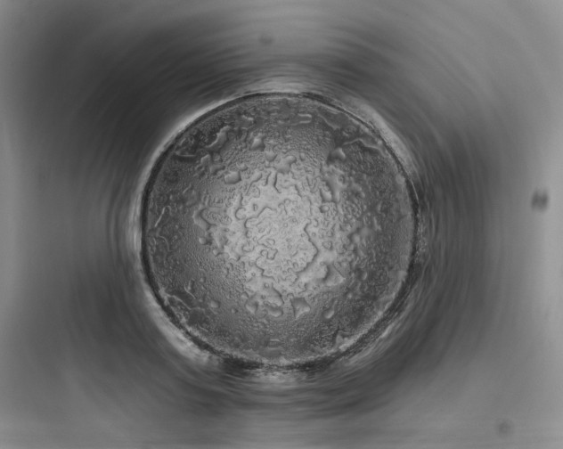 X0000097990795200803241340