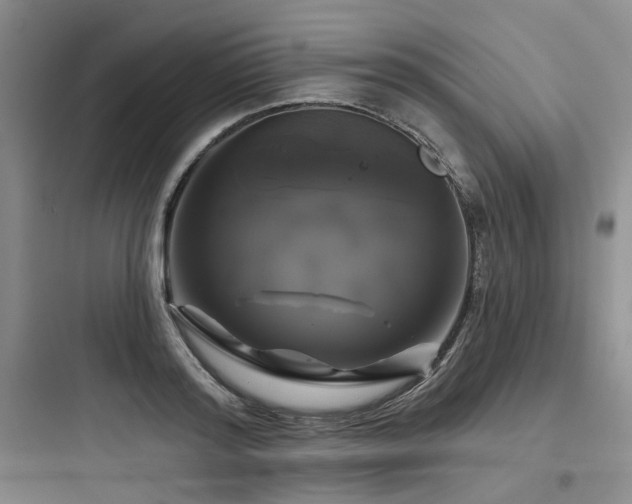 X0000097990796200803241340