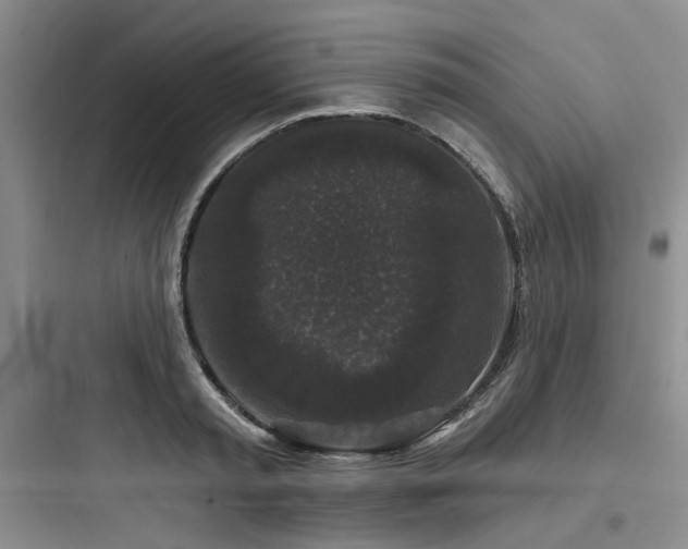X0000097990797200803241340