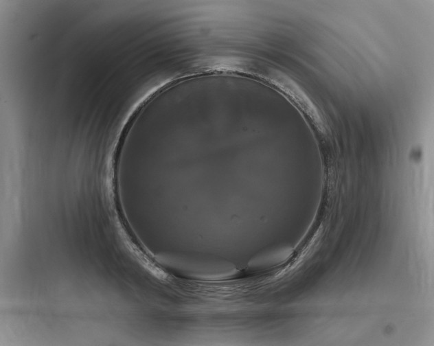 X0000097990798200803241340
