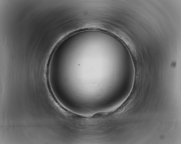 X0000097990799200803241340