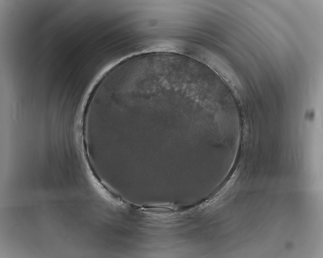 X0000097990800200803241340
