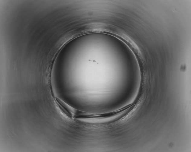 X0000097990801200803241340