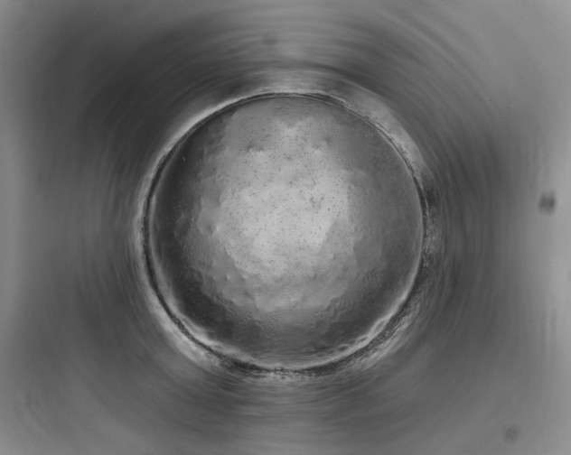 X0000097990803200803241340