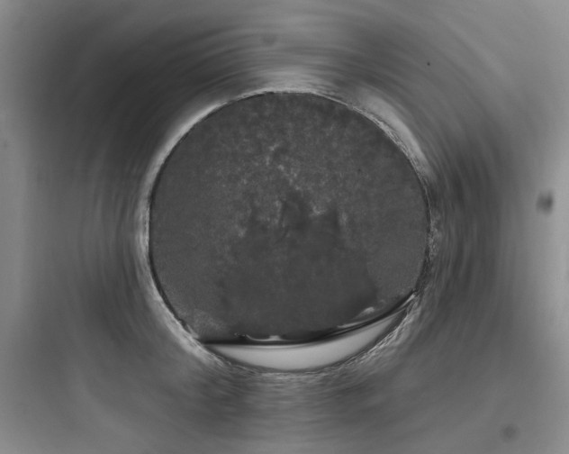 X0000097990804200803241340