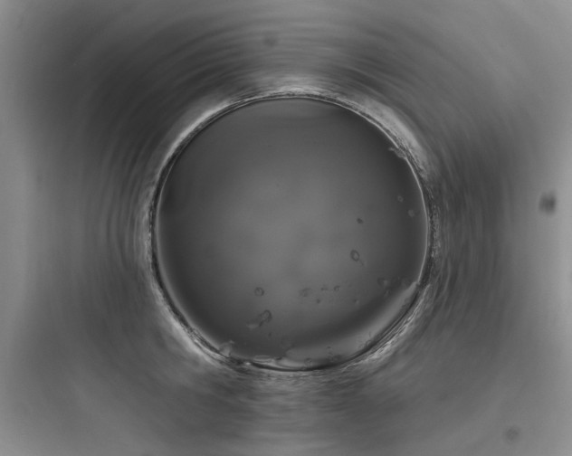 X0000097990806200803241340