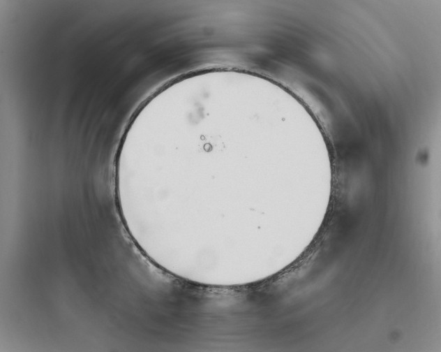 X0000097990807200803241340