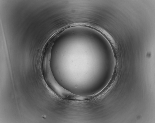X0000097990809200803241340