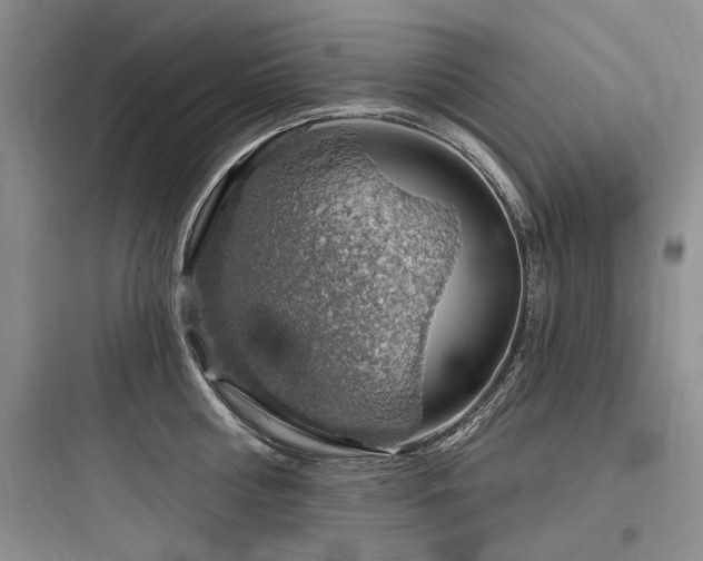 X0000097990810200803241340