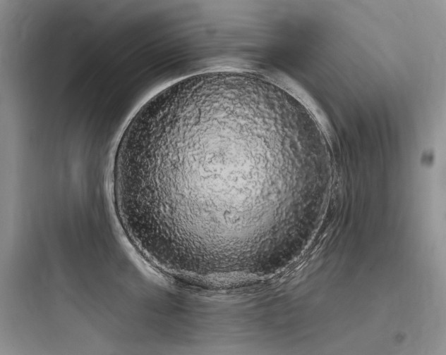 X0000097990811200803241340