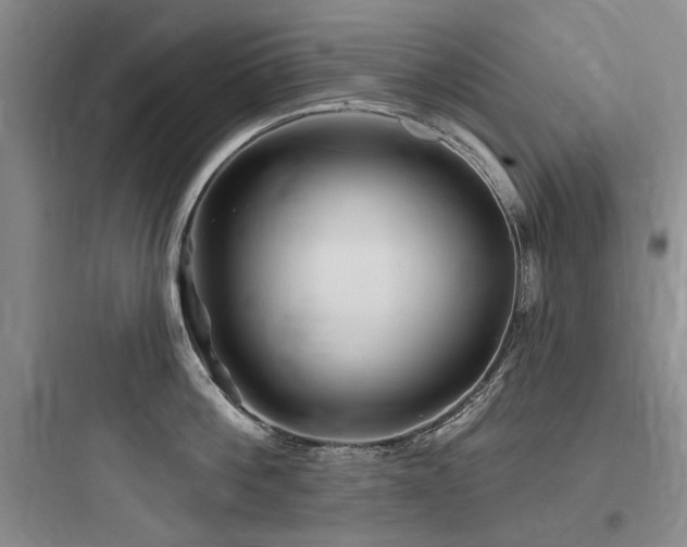X0000097990812200803241340