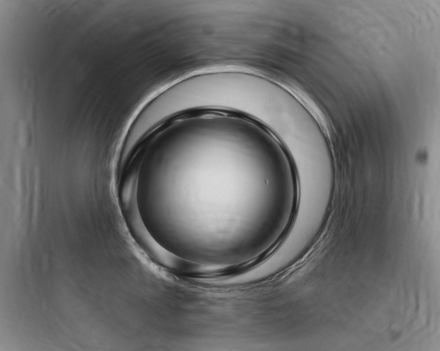 X0000097990813200803241340