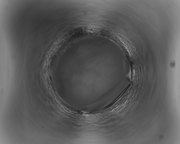 X0000097990817200803241339