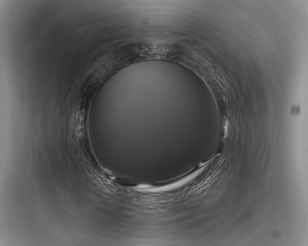 X0000097990818200803241339