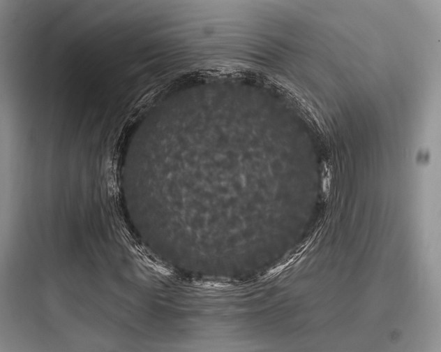 X0000097990819200803241339