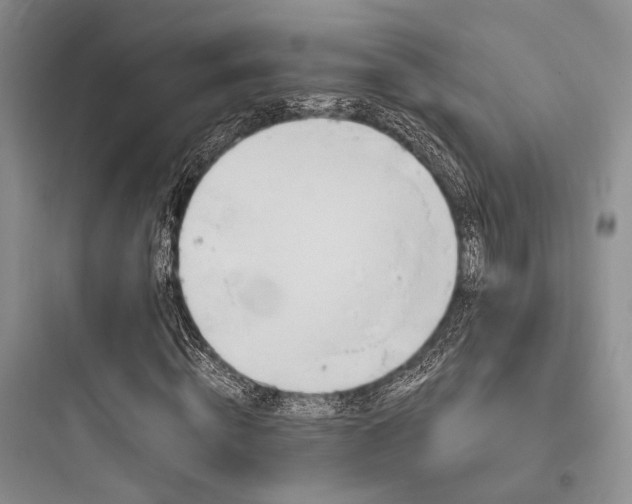 X0000097990820200803241339