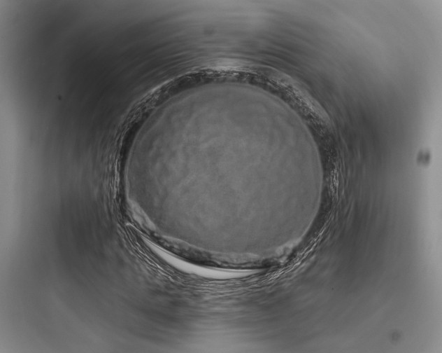 X0000097990821200803241339