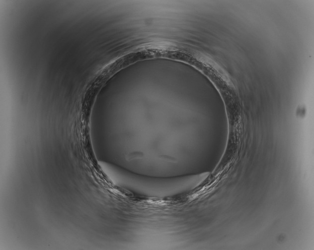 X0000097990822200803241339