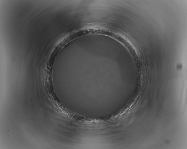X0000097990823200803241339