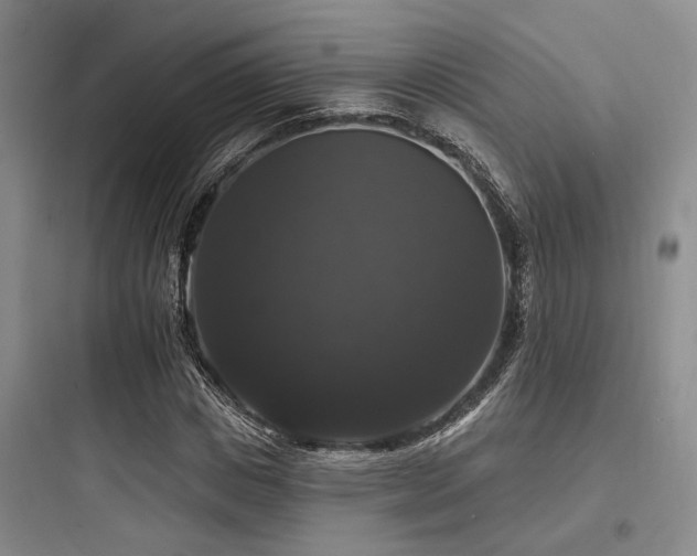 X0000097990825200803241339