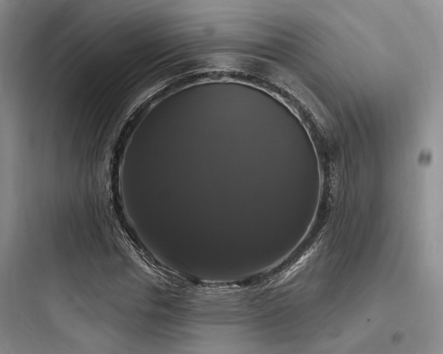 X0000097990826200803241339