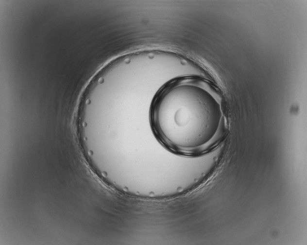 X0000097990828200803241339