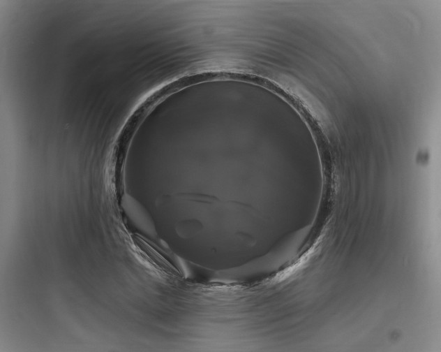 X0000097990830200803241339