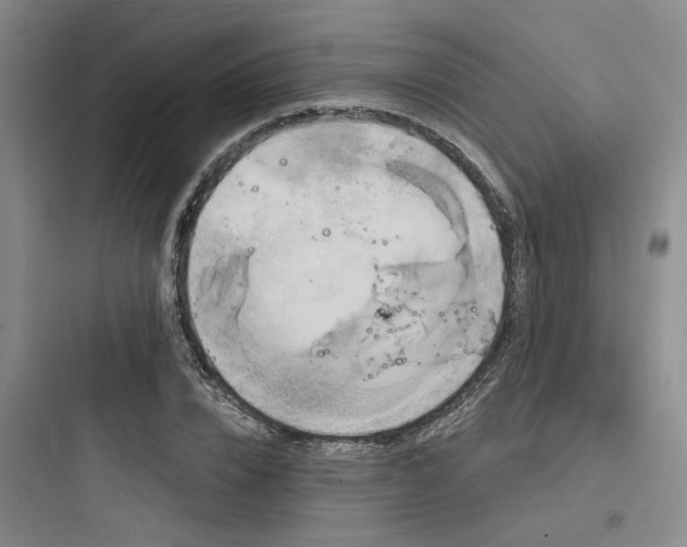 X0000097990832200803241339