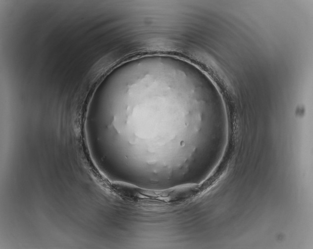 X0000097990833200803241339