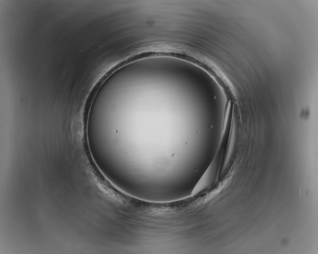X0000097990837200803241339