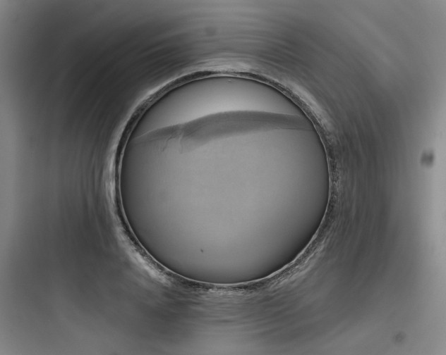 X0000097990840200803241339