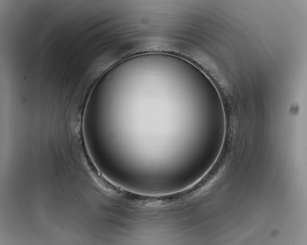 X0000097990841200803241339