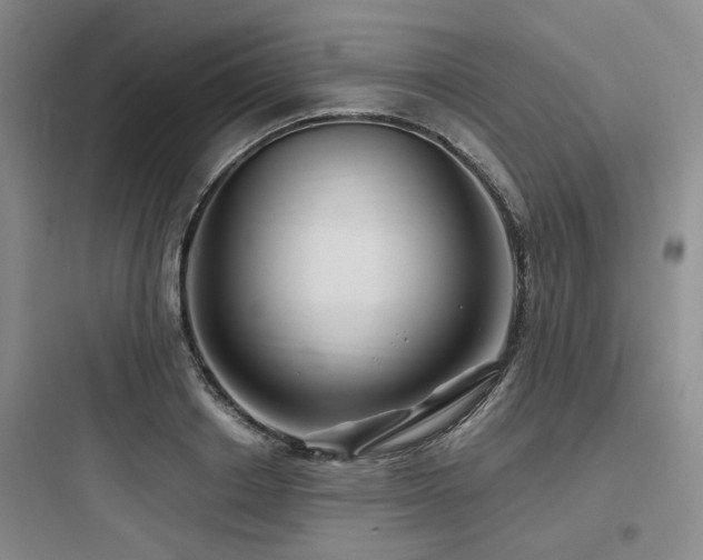 X0000097990842200803241339