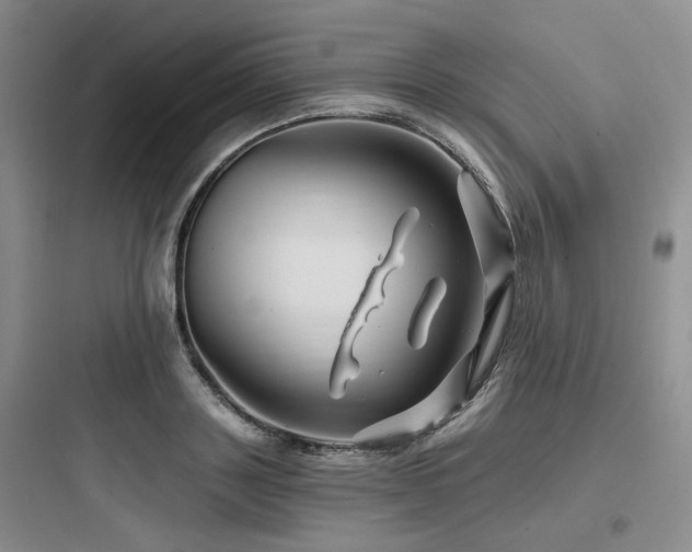 X0000097990843200803241340
