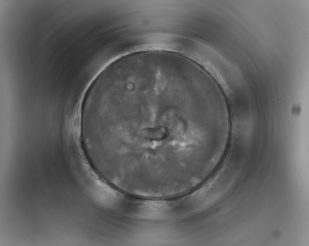 X0000097990844200803241340