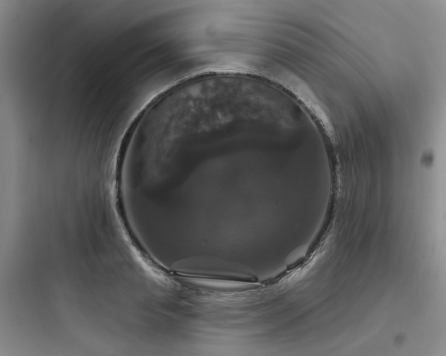 X0000097990845200803241340
