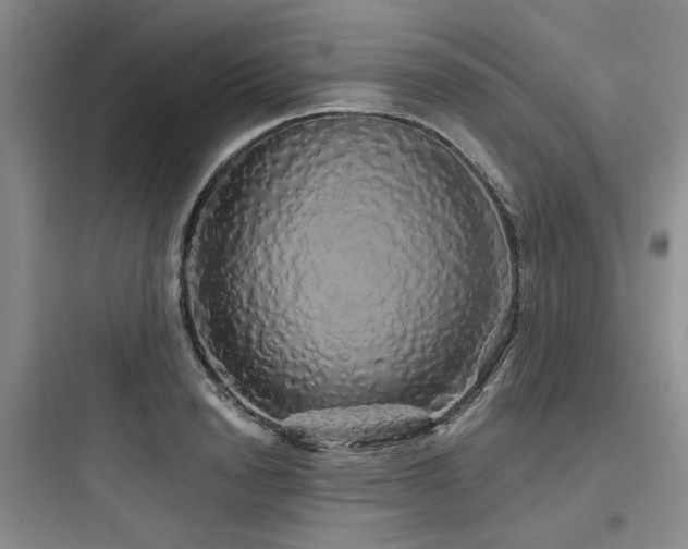 X0000097990846200803241340