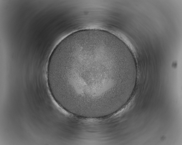 X0000097990847200803241340