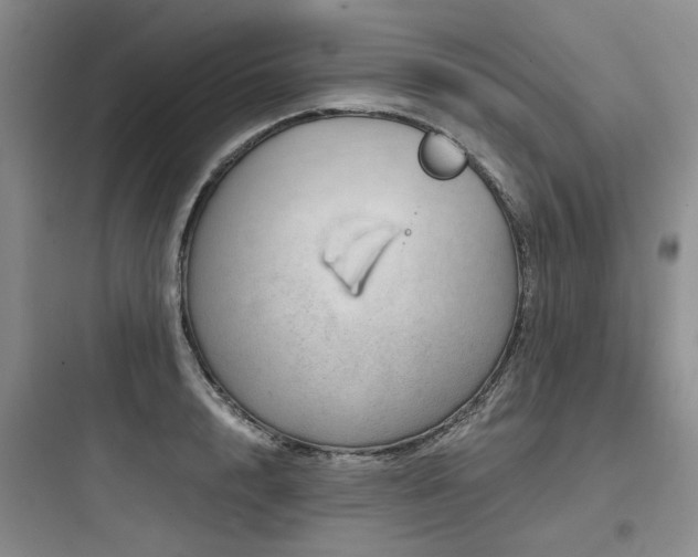 X0000097990848200803241340