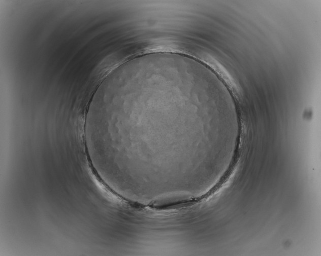 X0000097990849200803241340