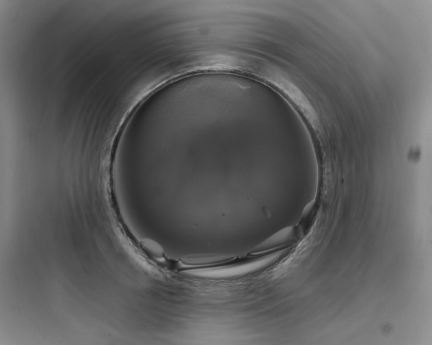 X0000097990850200803241340