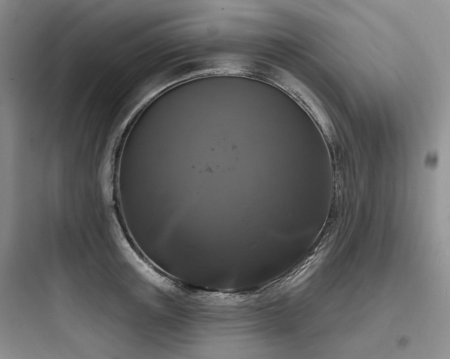 X0000097990851200803241340