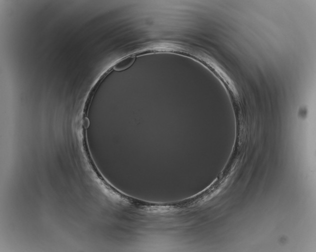 X0000097990853200803241340