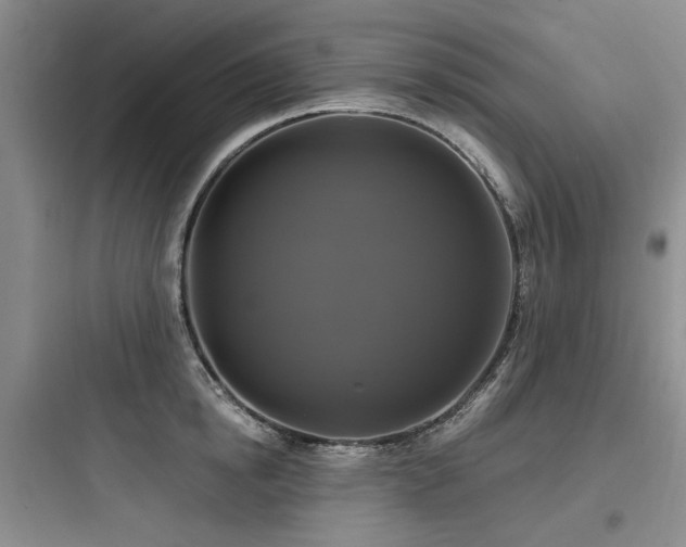 X0000097990854200803241340