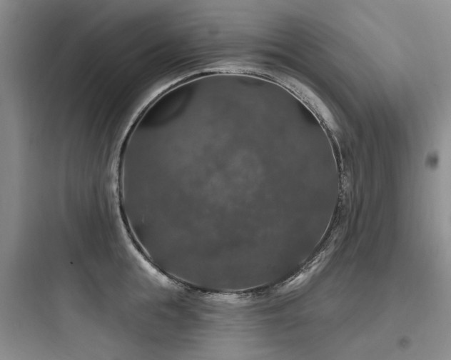X0000097990855200803241340