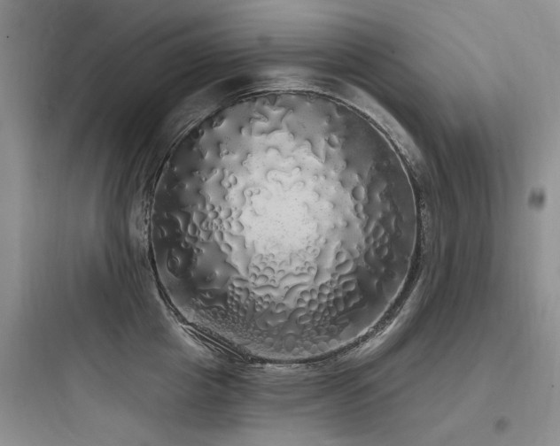 X0000097990857200803241340