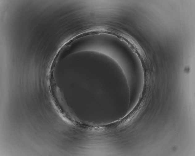 X0000097990858200803241340