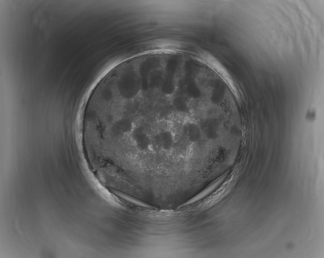 X0000097990859200803241340