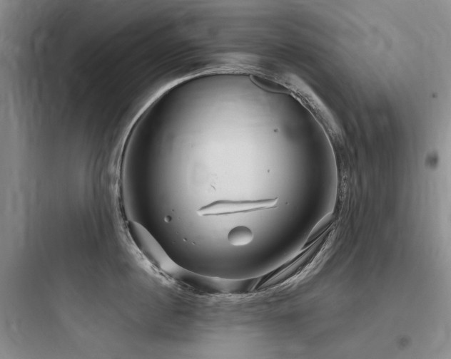 X0000097990860200803241340