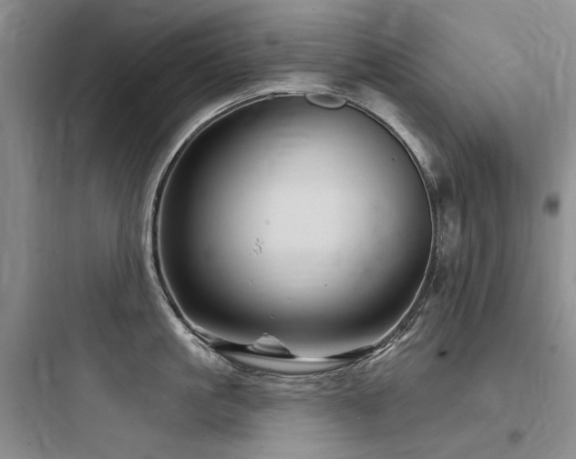 X0000097990861200803241340